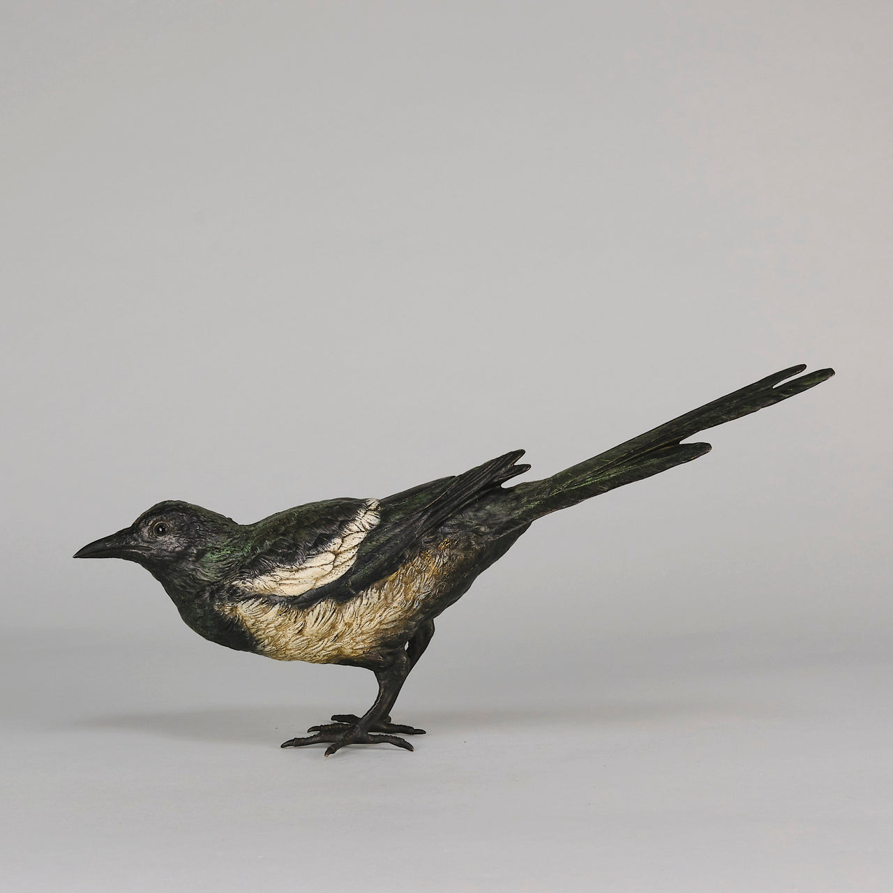 bergman bronze magpie