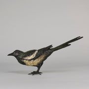 bergman bronze magpie
