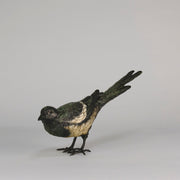 bergman bronze magpie