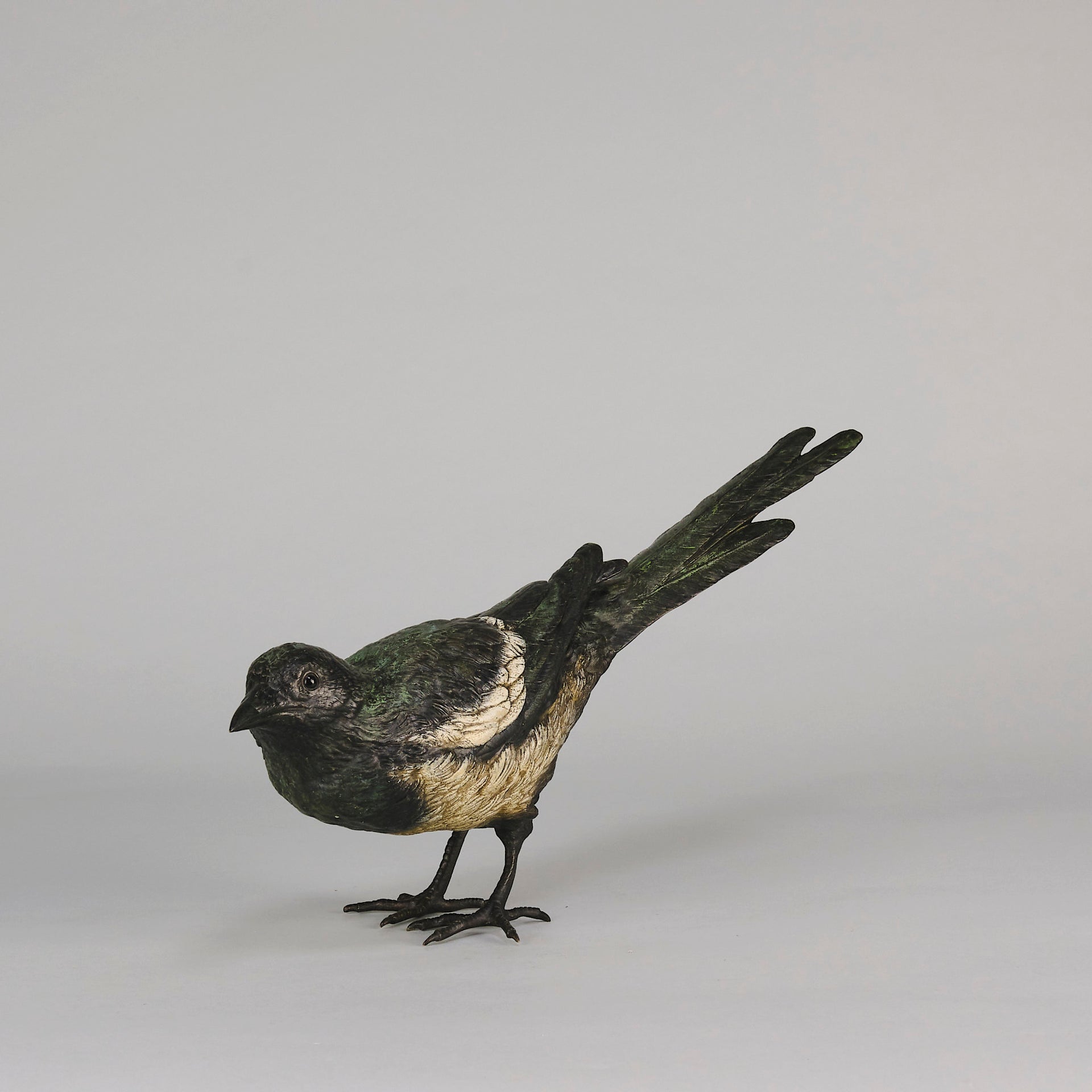 bergman bronze magpie