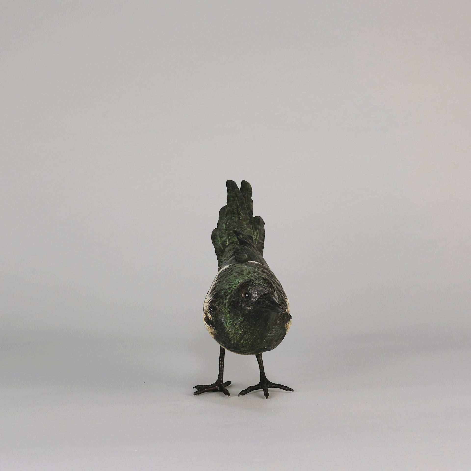 bergman bronze magpie