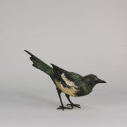 bergman bronze magpie