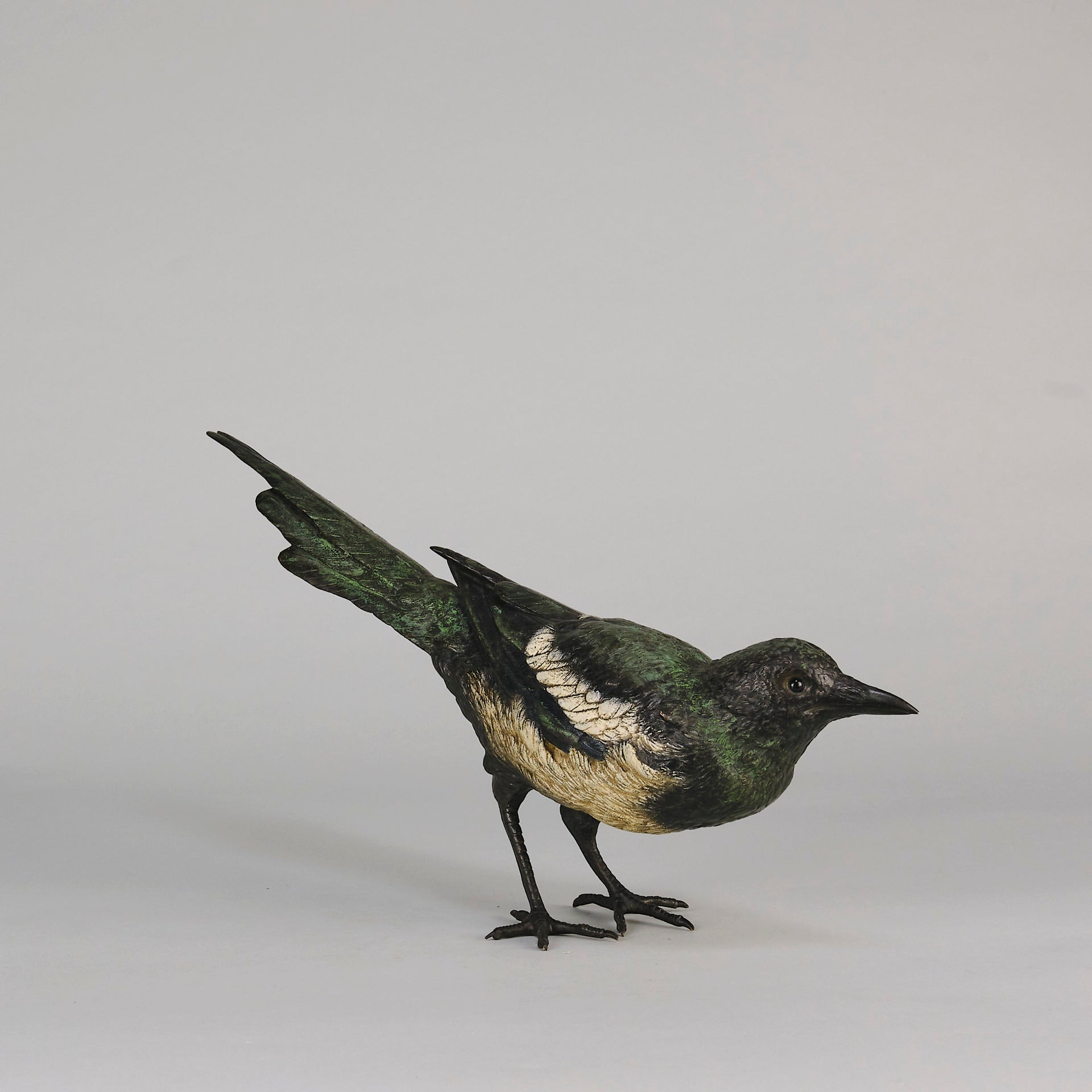 bergman bronze magpie