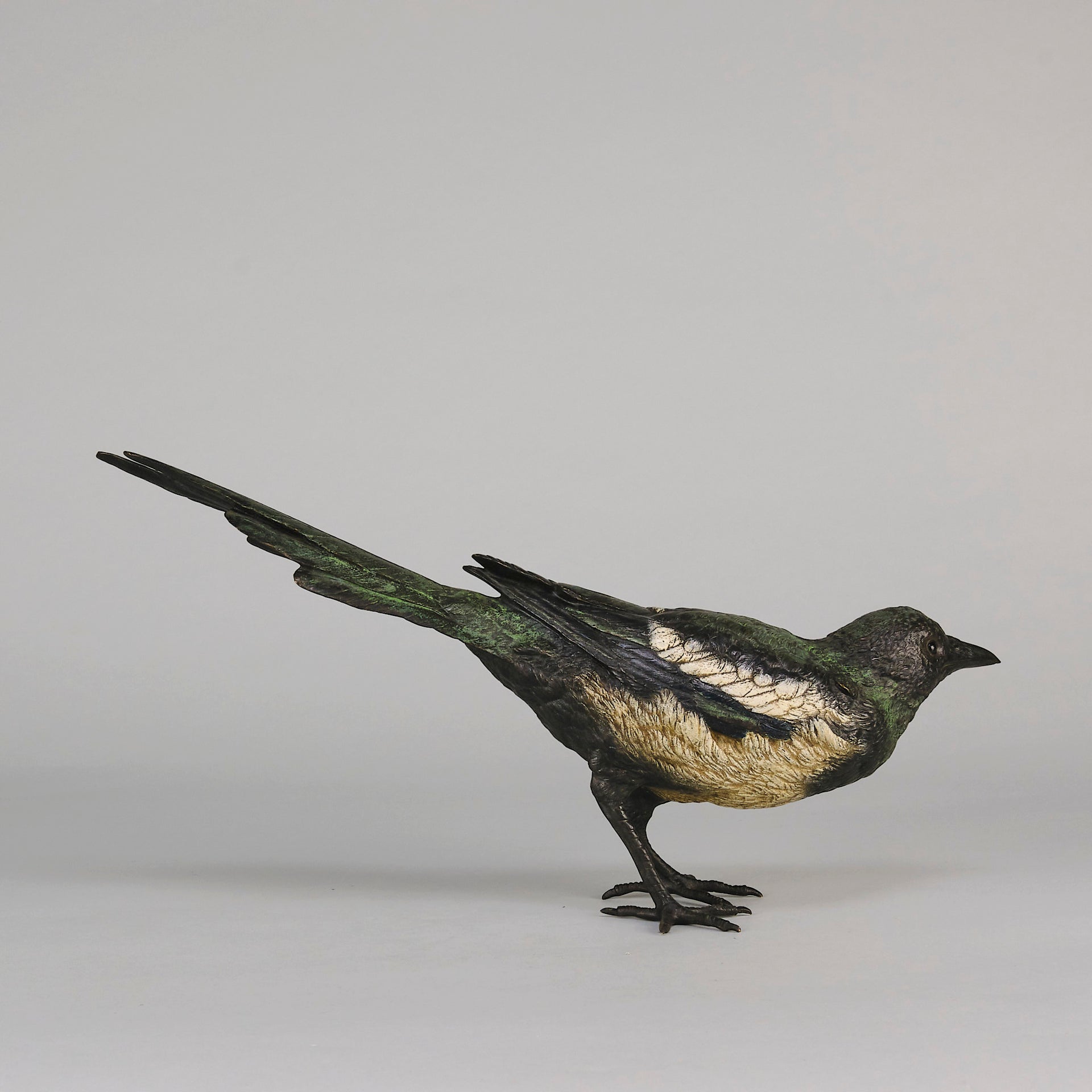 bergman bronze magpie