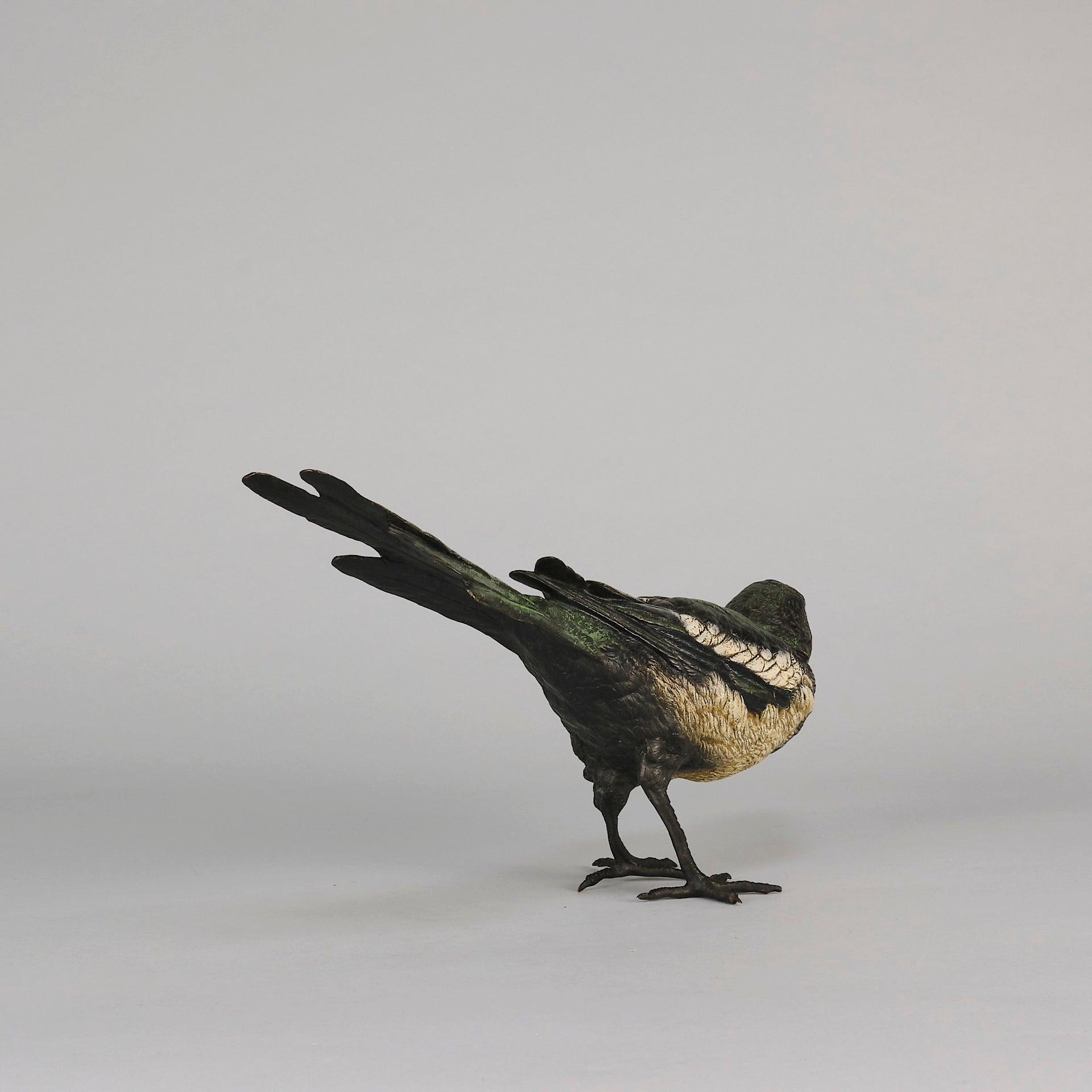 bergman bronze magpie