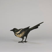 bergman bronze magpie