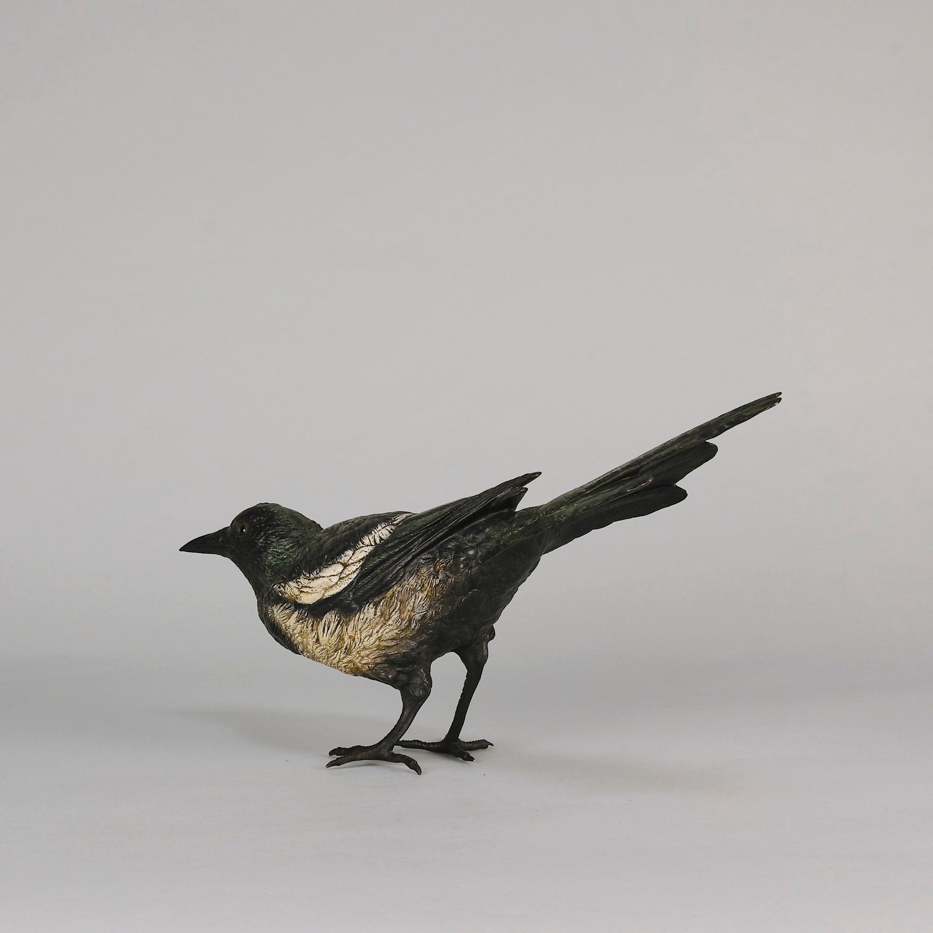 bergman bronze magpie