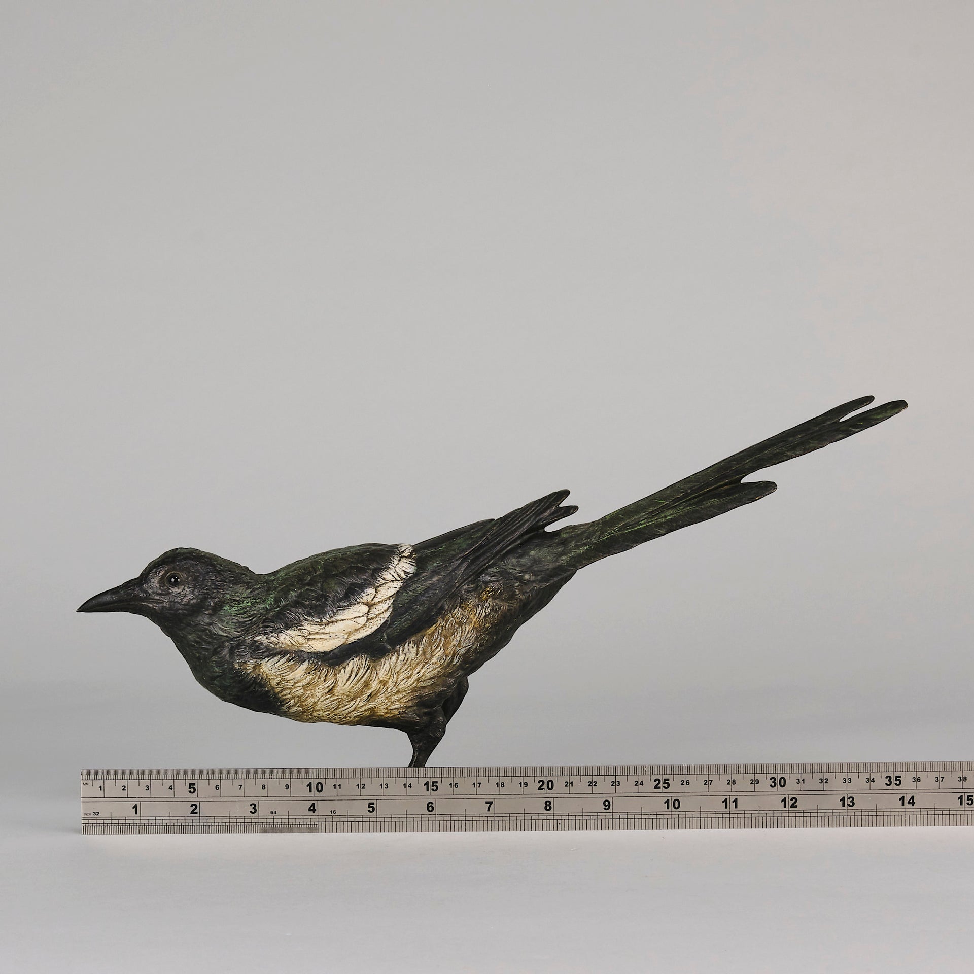 bergman bronze magpie