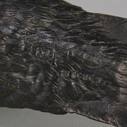 bergman bronze magpie