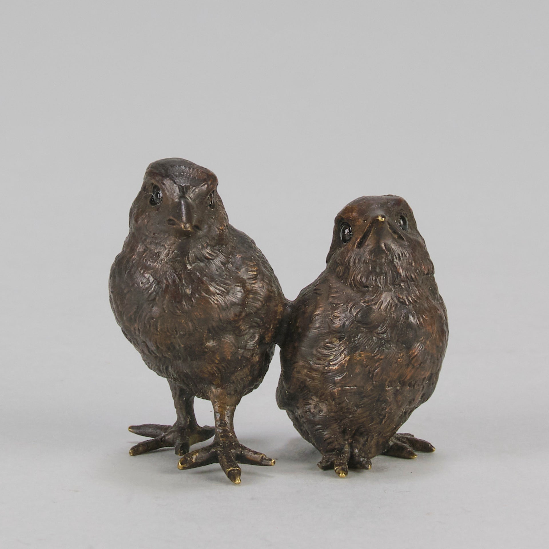 Vienna Bronze Chicks