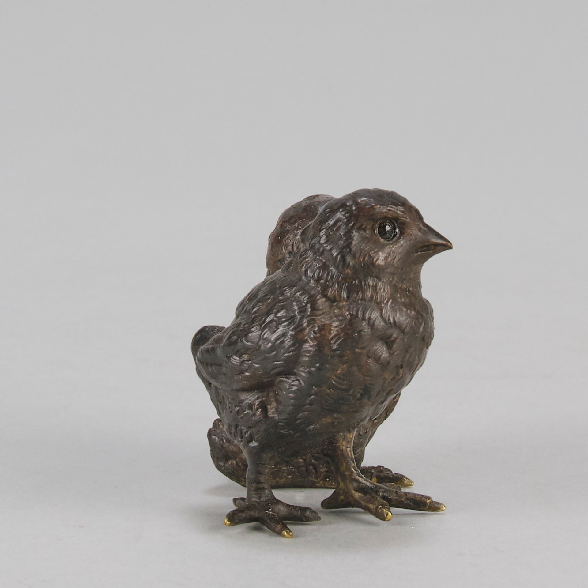 Vienna Bronze Chicks