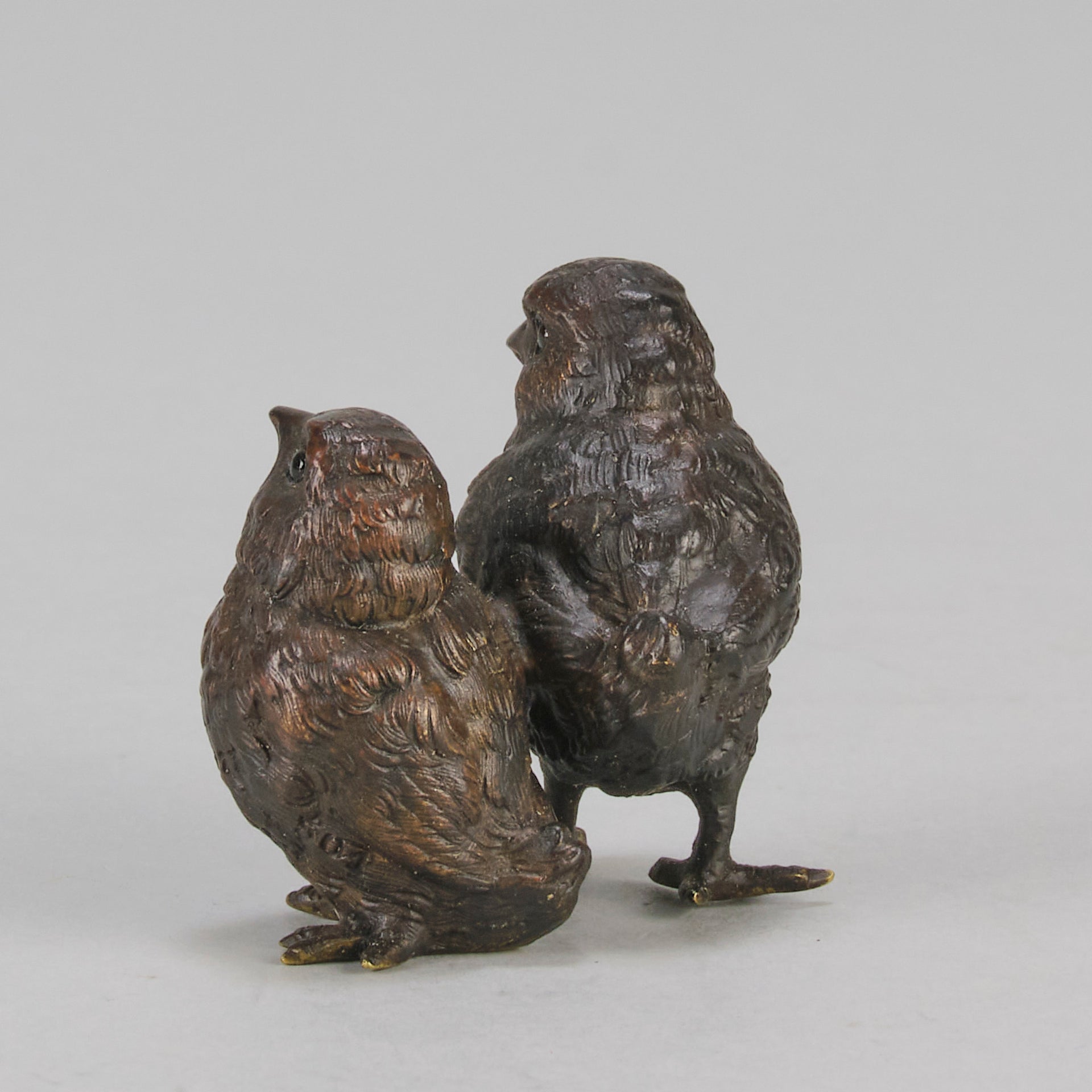 Vienna Bronze Chicks