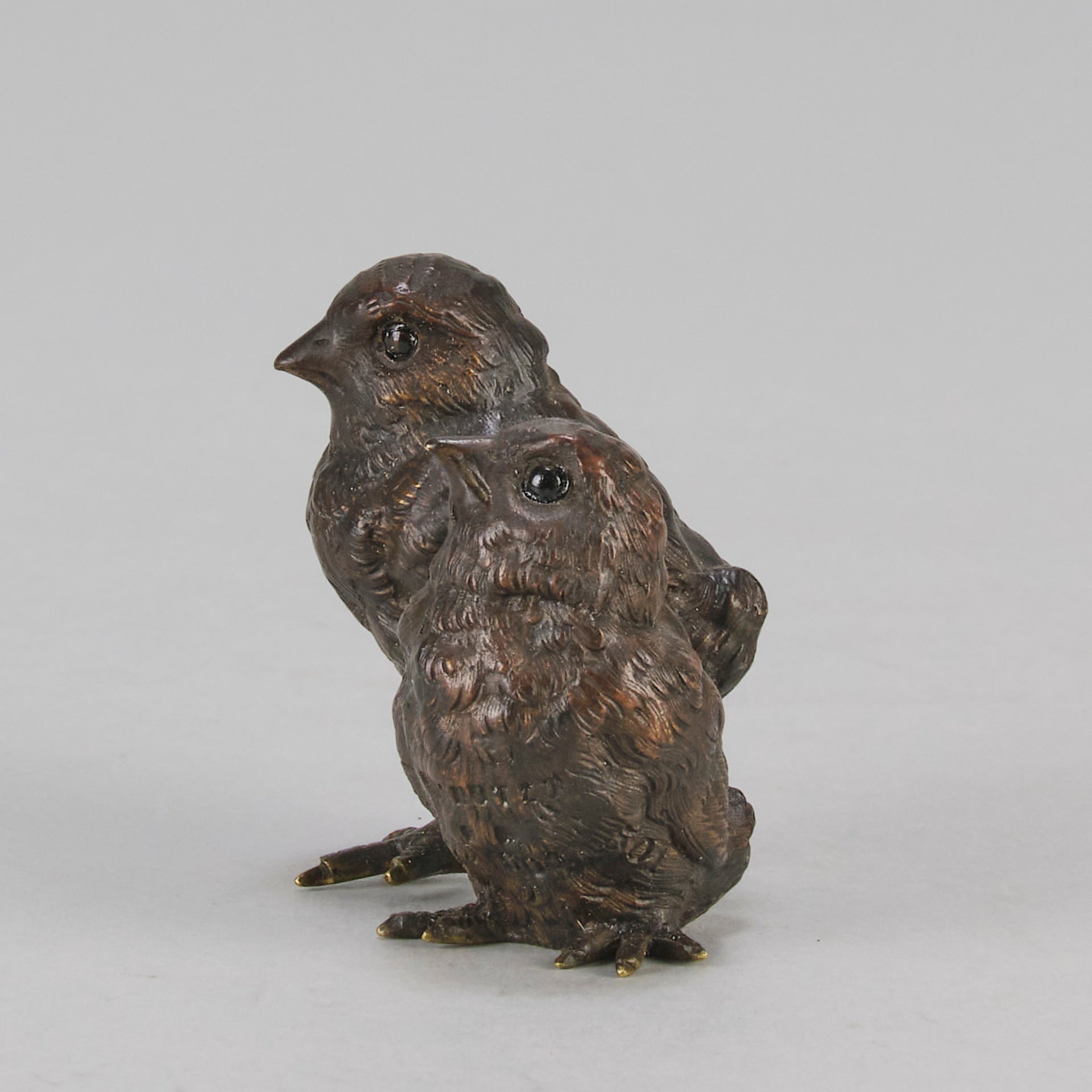 Vienna Bronze Chicks