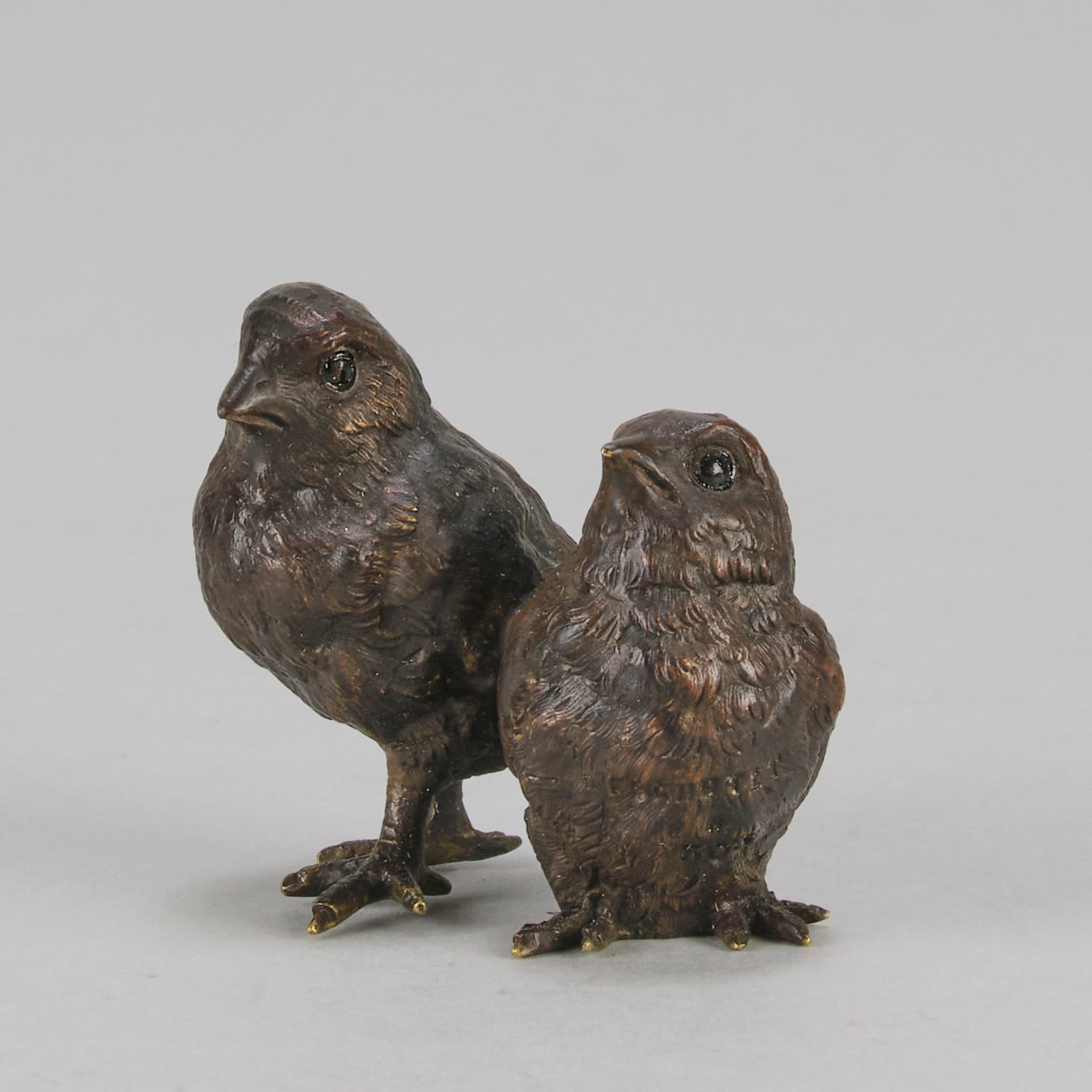 Vienna Bronze Chicks