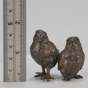 Vienna Bronze Chicks