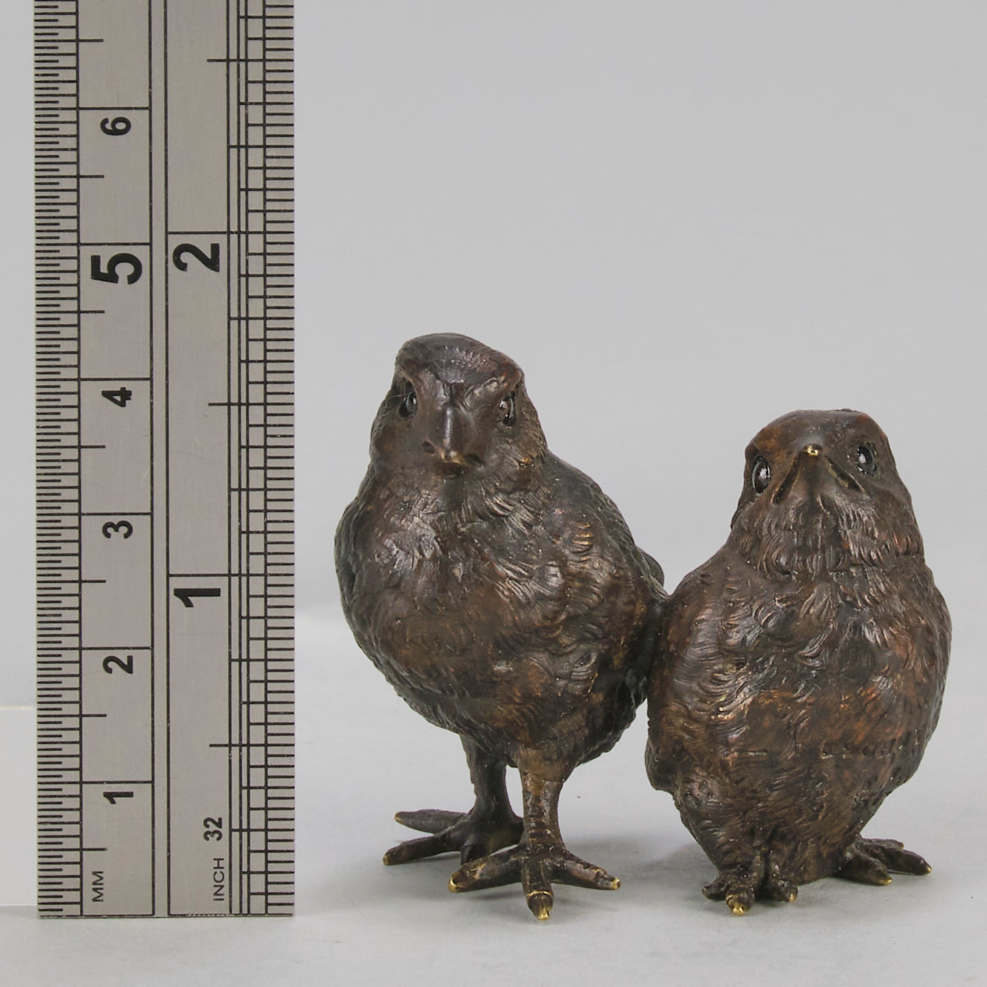 Vienna Bronze Chicks