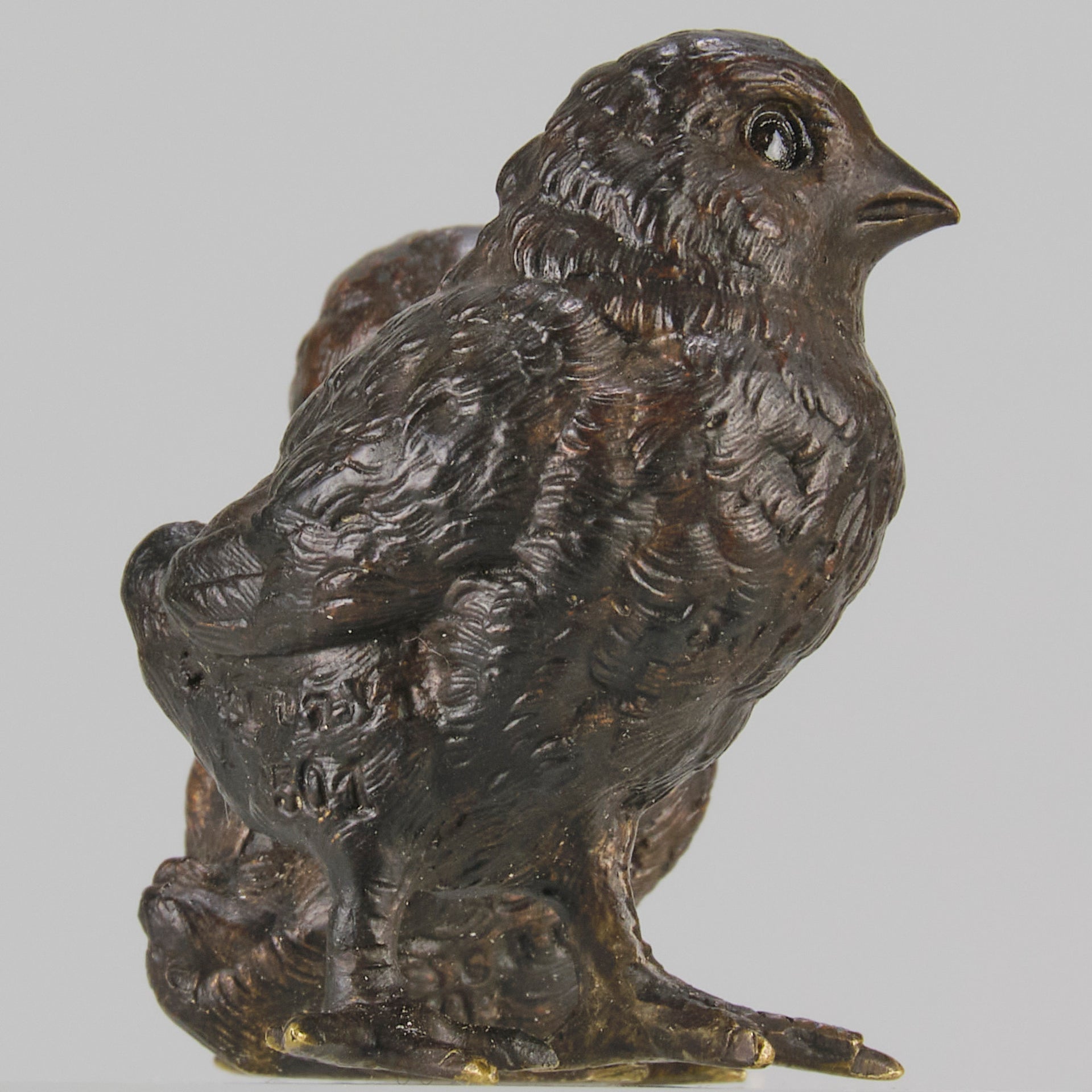 Vienna Bronze Chicks
