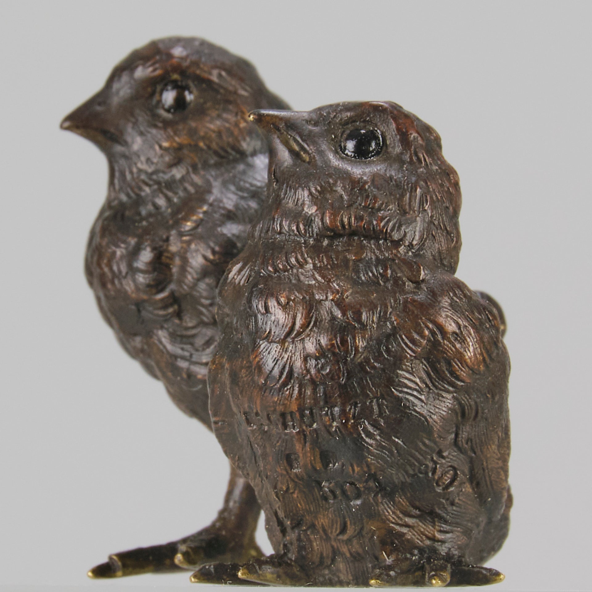 Vienna Bronze Chicks