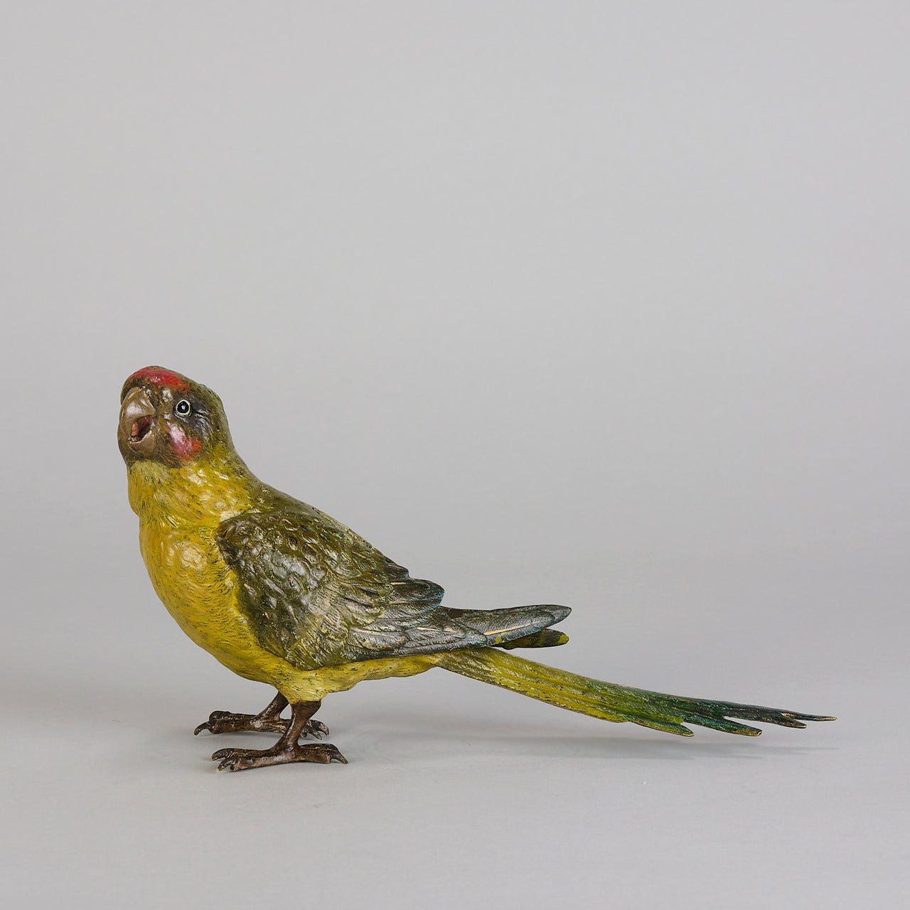 Bergman Parakeet - Bergman Bronze - Hickmet Fine Arts