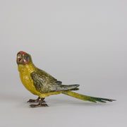 Bergman Parakeet - Bergman Bronze - Hickmet Fine Arts