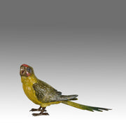 Bergman Parakeet - Bergman Bronze - Hickmet Fine Arts