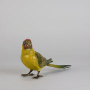 Bergman Parakeet - Bergman Bronze - Hickmet Fine Arts