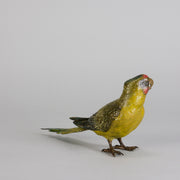 Bergman Parakeet - Bergman Bronze - Hickmet Fine Arts