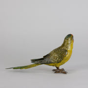 Bergman Parakeet - Bergman Bronze - Hickmet Fine Arts