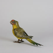 Bergman Parakeet - Bergman Bronze - Hickmet Fine Arts