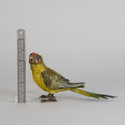 Bergman Parakeet - Bergman Bronze - Hickmet Fine Arts