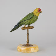 Bergman Bronze Parrot