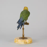 Bergman Bronze Parrot