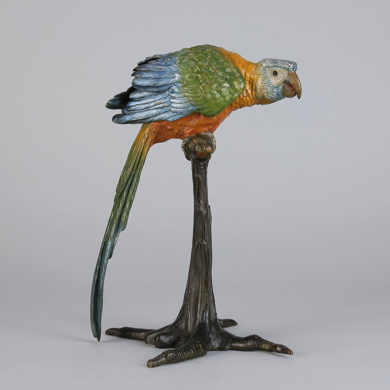 Franz Bergman and Carl Kauba Parrot on a Branch