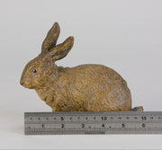 Bergman Bronze Rabbit