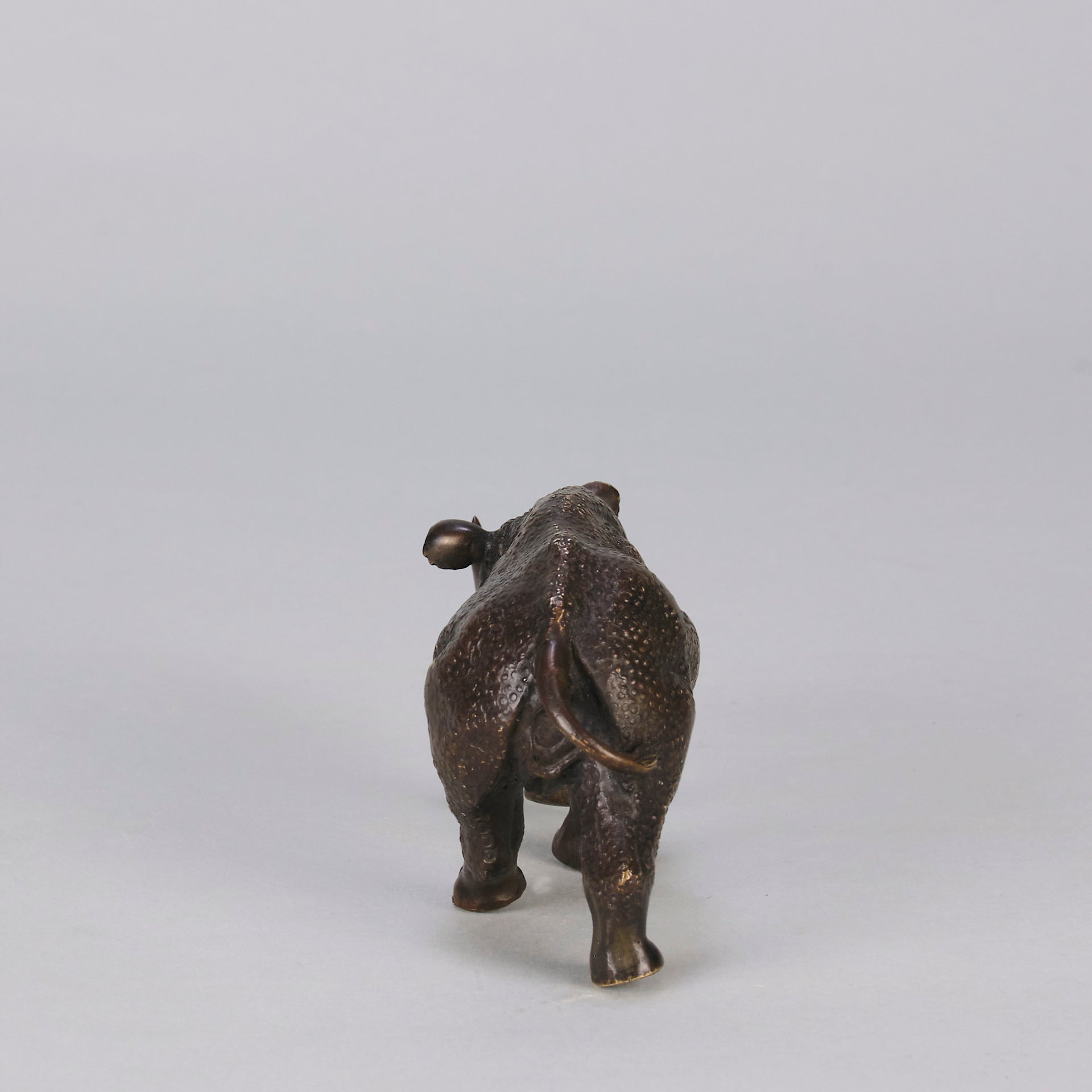 Bergman Rhinocerous - Bergman Bronze - Hickmet Fine Arts