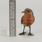 Robin - Franz Bergman Bronze - Hickmet Fine Arts