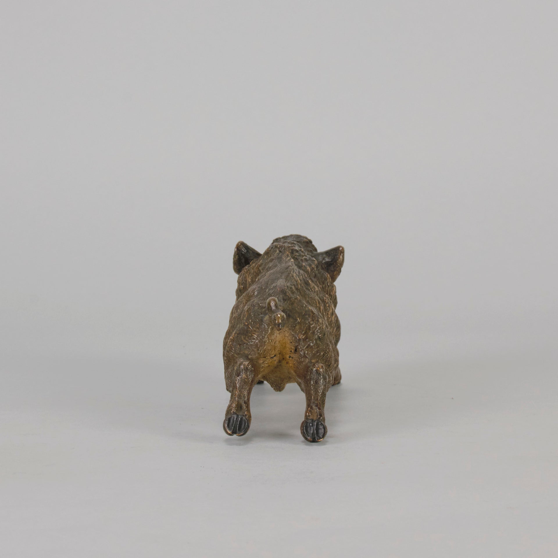 Bergman Boar - Bergman Bronze - Hickmet Fine Arts