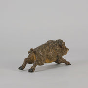 Bergman Boar - Bergman Bronze - Hickmet Fine Arts