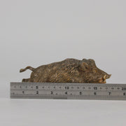 Bergman Boar - Bergman Bronze - Hickmet Fine Arts
