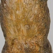 Bergman Boar - Bergman Bronze - Hickmet Fine Arts