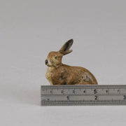 Bergman Rabbit  - Bergman Austrian Bronze - Hickmet Fine Arts