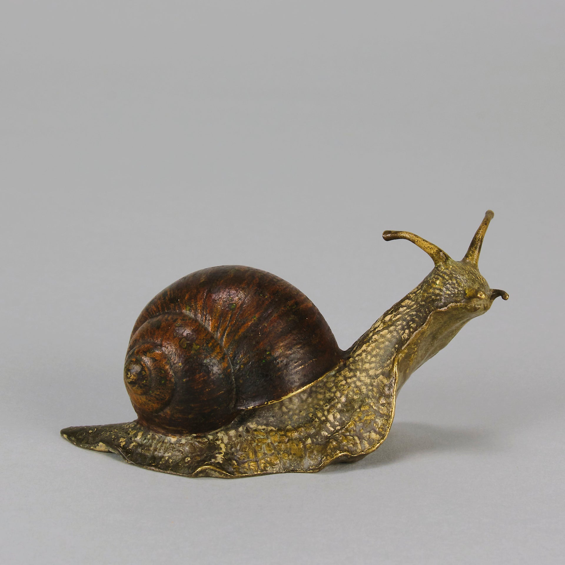 Bergman Snail - Bergman Bronze - Hickmet Fine Arts