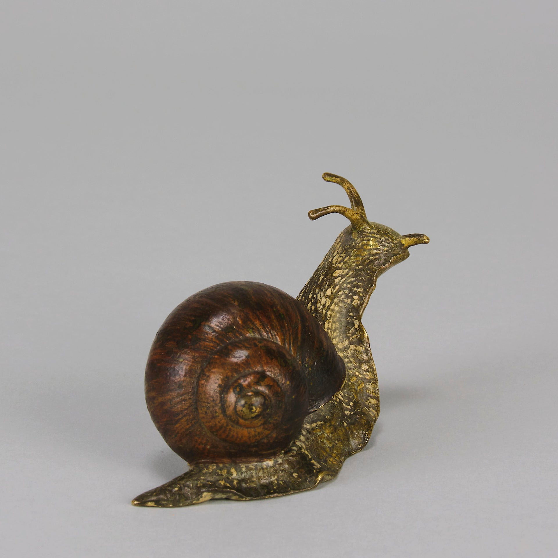 Bergman Snail - Bergman Bronze - Hickmet Fine Arts