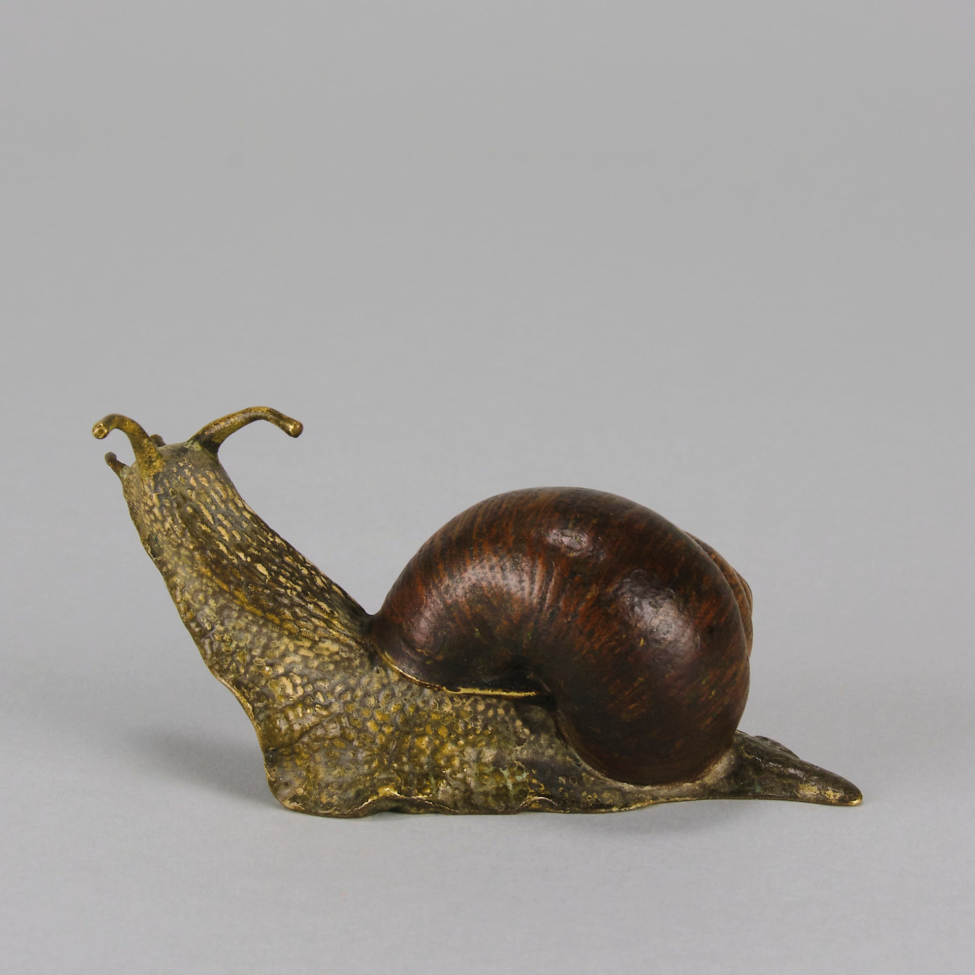 Bergman Snail - Bergman Bronze - Hickmet Fine Arts