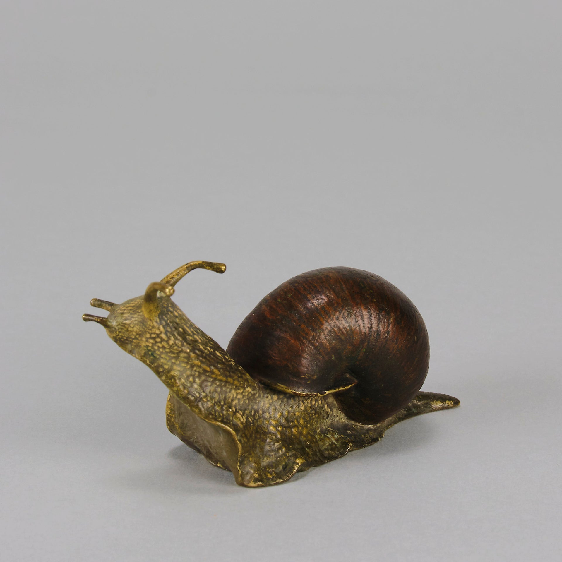 Bergman Snail - Bergman Bronze - Hickmet Fine Arts