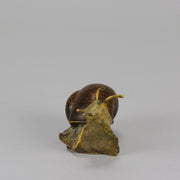 Bergman Snail - Bergman Bronze - Hickmet Fine Arts