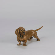 Berman Basset - Franz Bergman Bronze - Hickmet Fine Arts