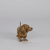 Berman Basset - Franz Bergman Bronze - Hickmet Fine Arts