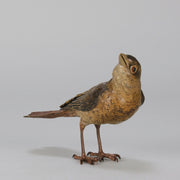 Bergman Bird - Bergman Bronze - Hickmet Fine Arts