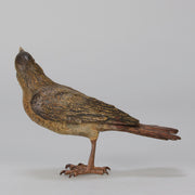 Bergman Bird - Bergman Bronze - Hickmet Fine Arts